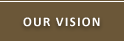 Our Vision